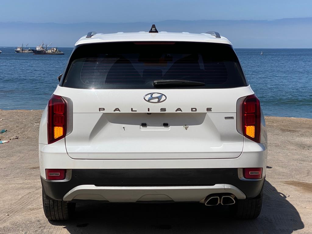 
								Hyundai Palisade full									